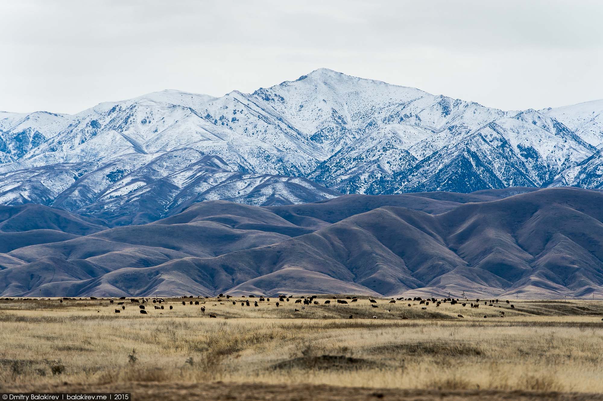 Kazakhstan (Казахстан)